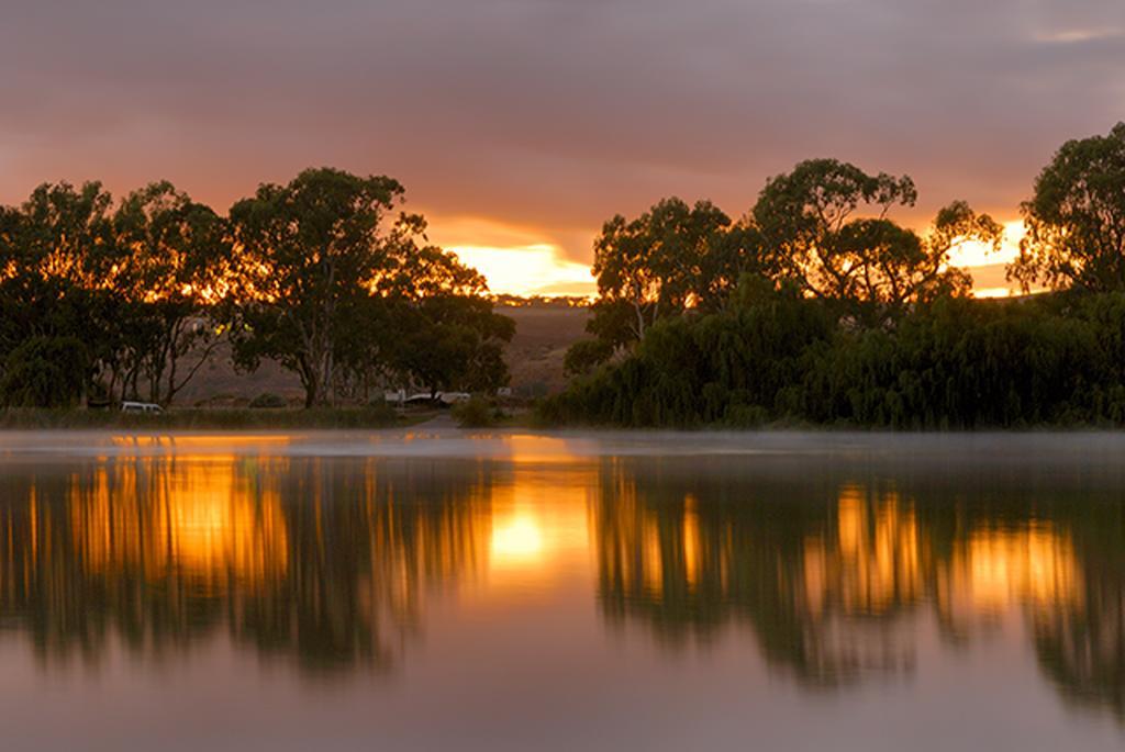 Riverview Rise Retreats Mannum Kültér fotó