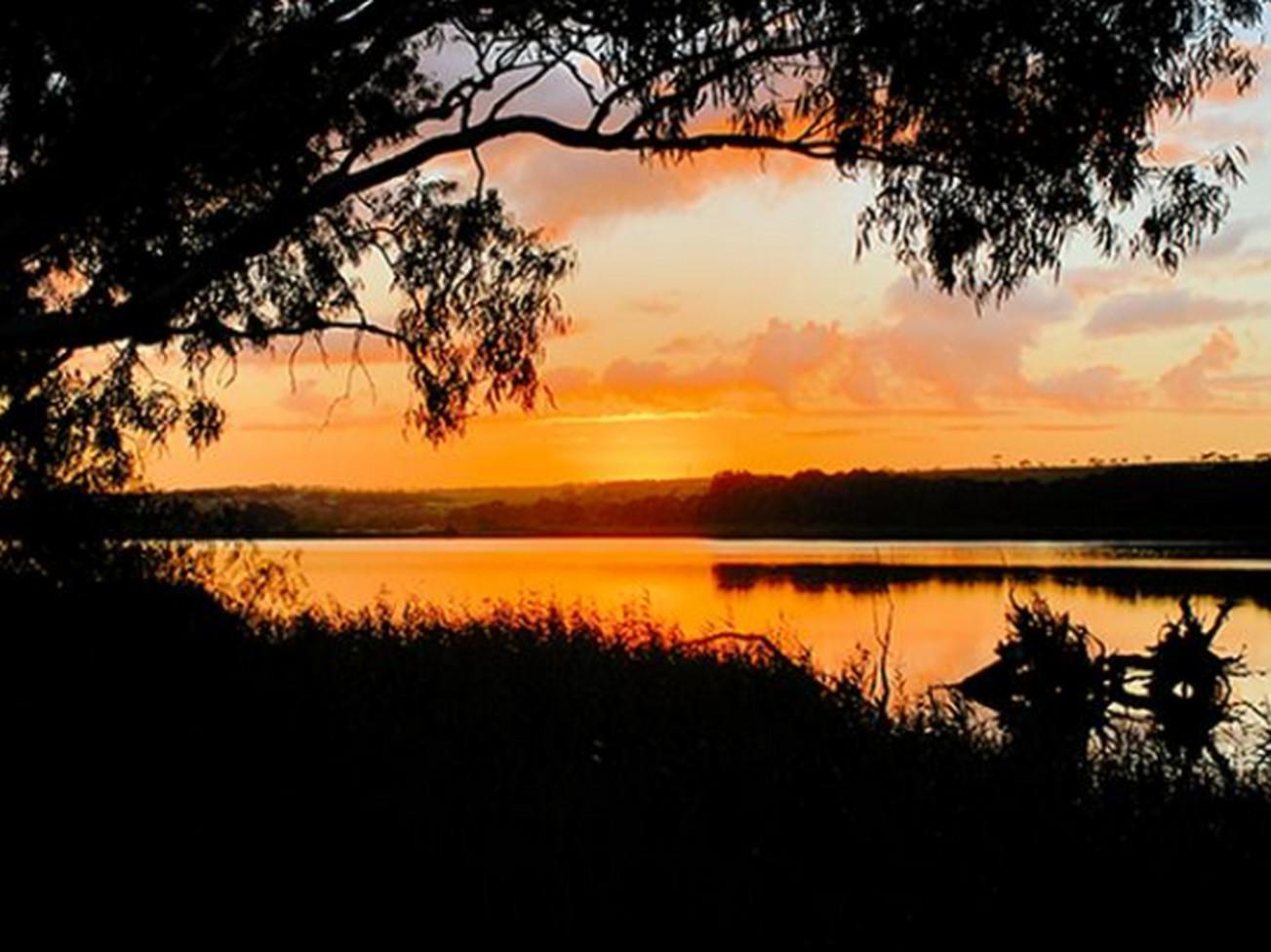 Riverview Rise Retreats Mannum Kültér fotó
