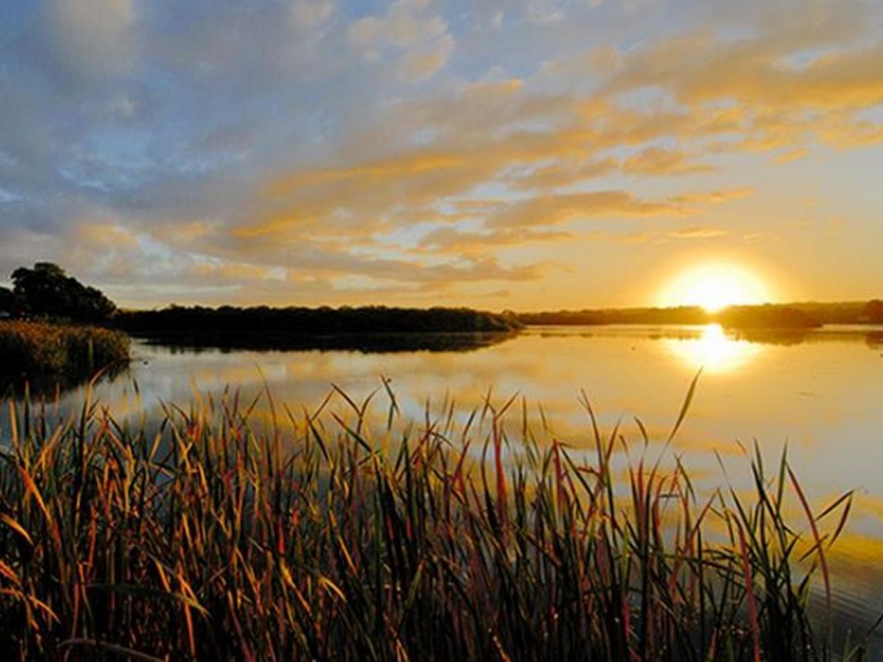 Riverview Rise Retreats Mannum Kültér fotó