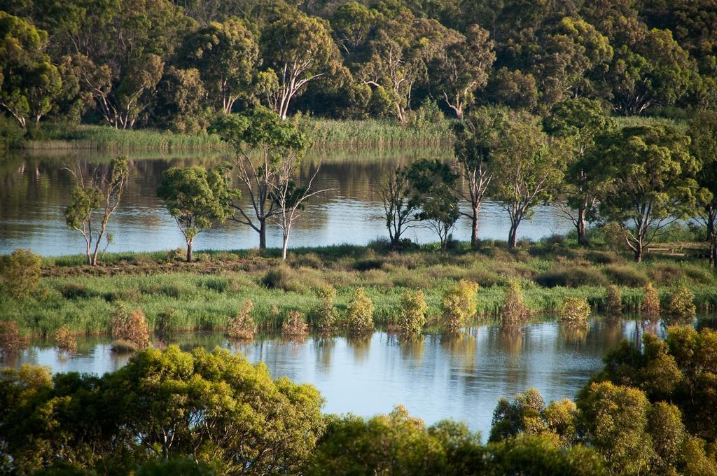 Riverview Rise Retreats Mannum Kültér fotó