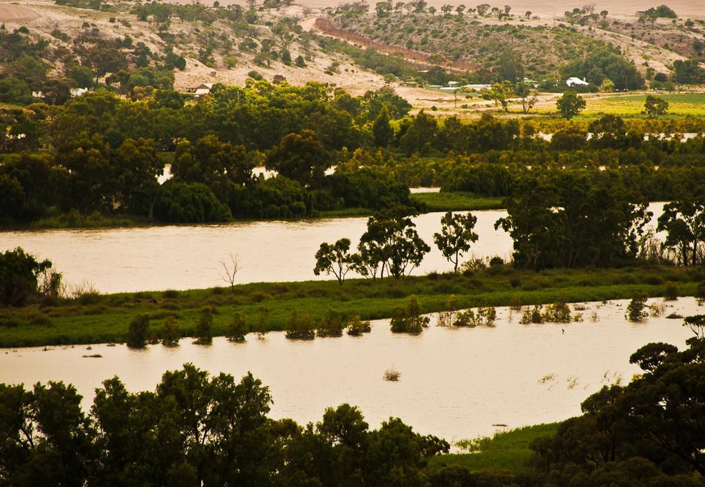 Riverview Rise Retreats Mannum Kültér fotó