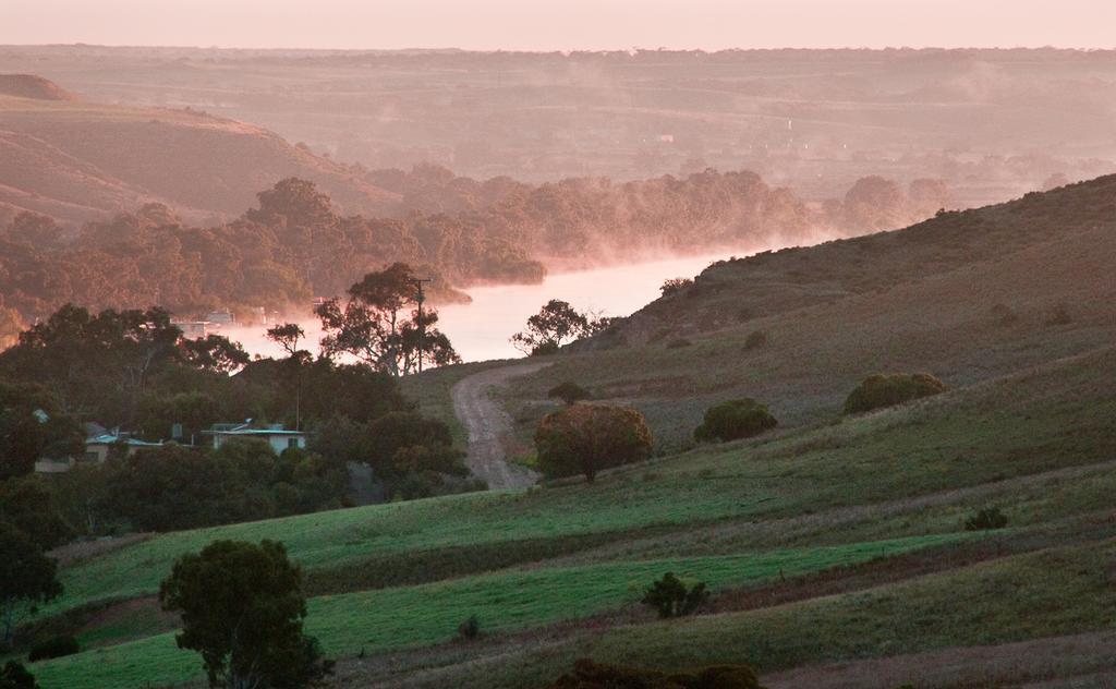 Riverview Rise Retreats Mannum Kültér fotó