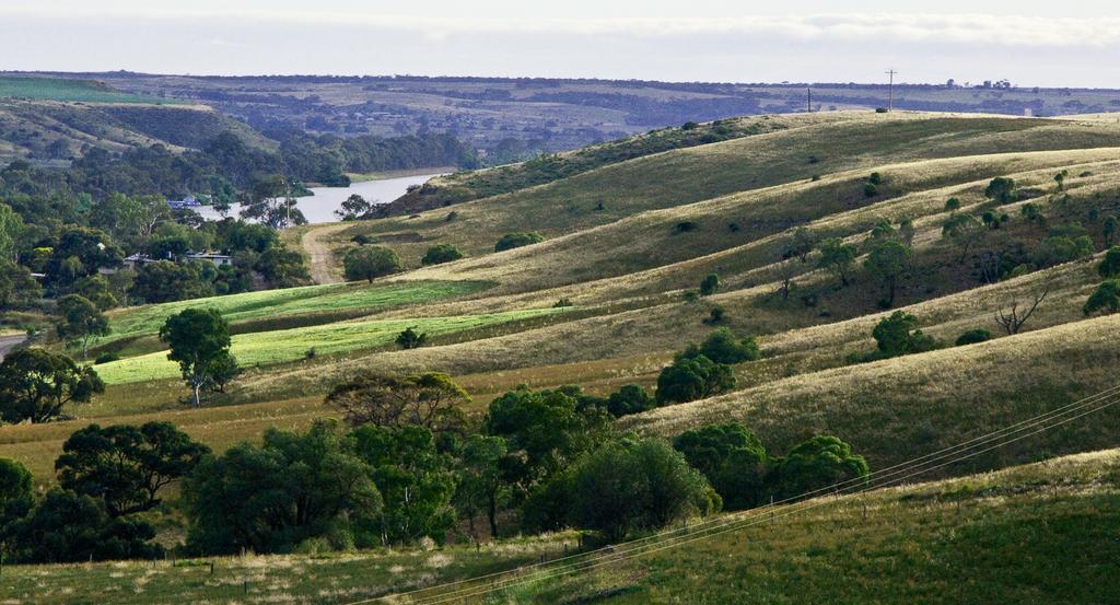 Riverview Rise Retreats Mannum Kültér fotó