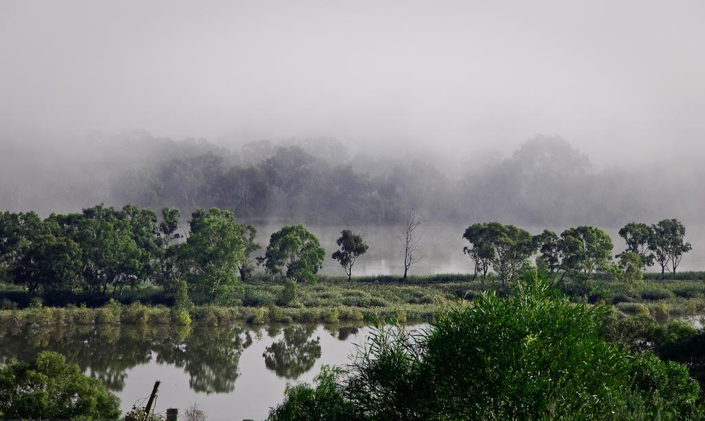 Riverview Rise Retreats Mannum Kültér fotó