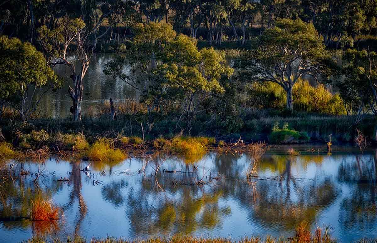 Riverview Rise Retreats Mannum Kültér fotó