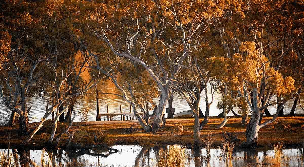 Riverview Rise Retreats Mannum Kültér fotó