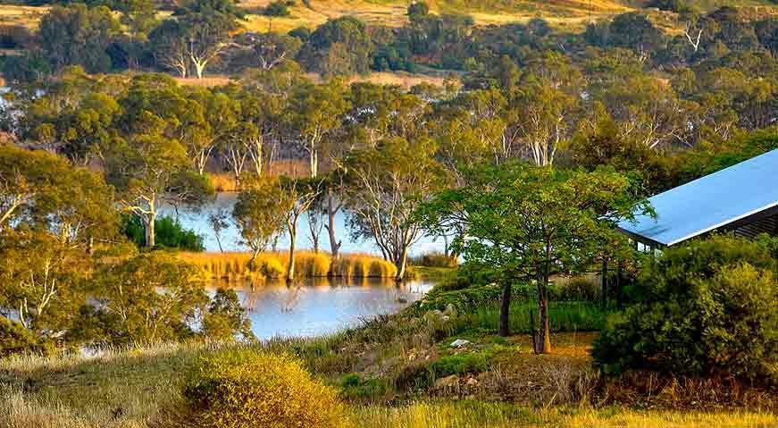 Riverview Rise Retreats Mannum Kültér fotó