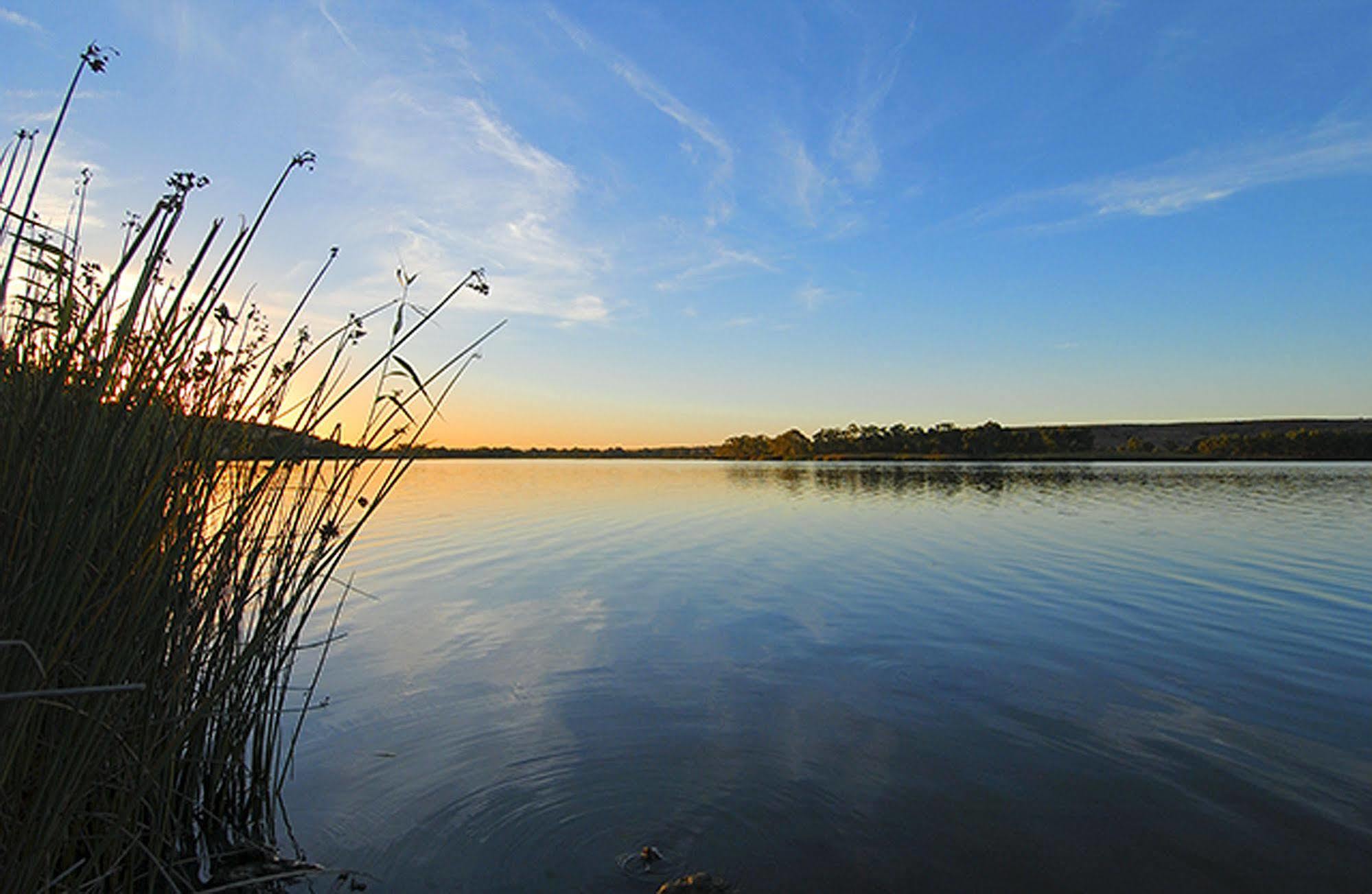 Riverview Rise Retreats Mannum Kültér fotó
